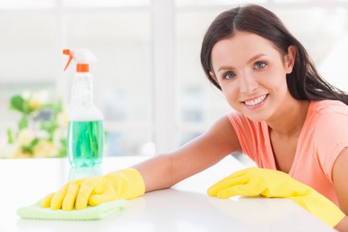 Professional house cleaning service in a Belsize Park period home