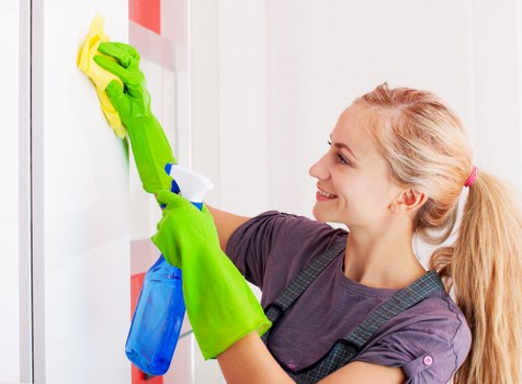 Gutter cleaning service for a residential property in Belsize Park