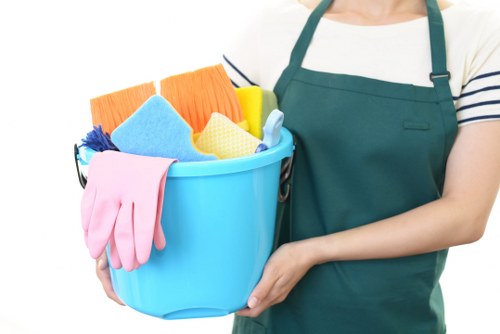 Professional sofa cleaning service for a Belsize Park home