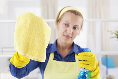 Professional move in cleaning for a Belsize Park apartment