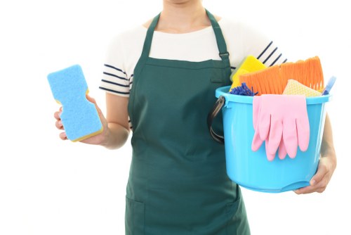 Thorough deep cleaning service in a Belsize Park home