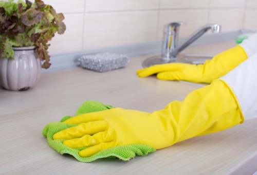 Window cleaner servicing period-style homes in Belsize Park