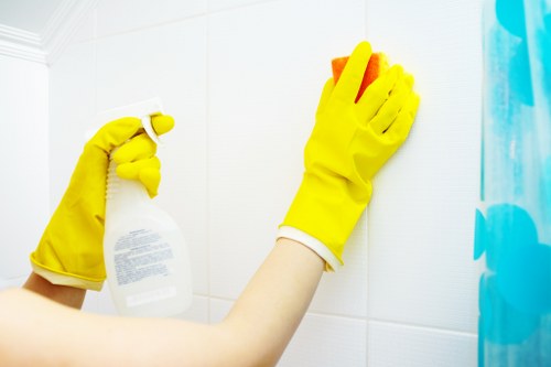 Regular home cleaning visit in a Belsize Park apartment