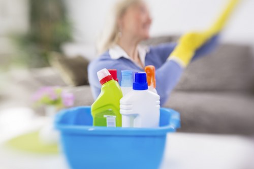 Local steam carpet cleaning service for homes and businesses near Belsize Park