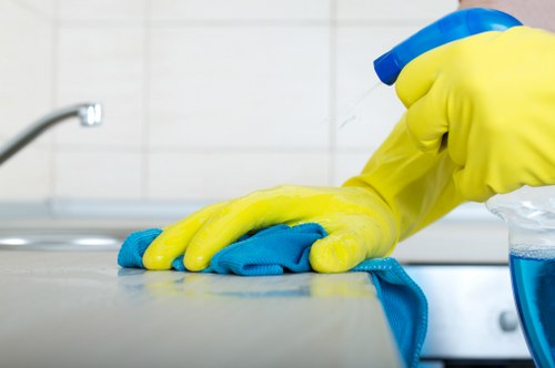Professional carpet cleaning in a Belsize Park flat with local access considerations