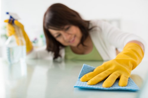 Professional cleaner maintaining a kitchen in Belsize Park