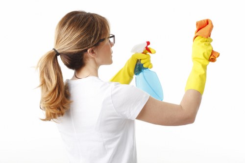 Preparation checklist for pet stain and odour removal appointment