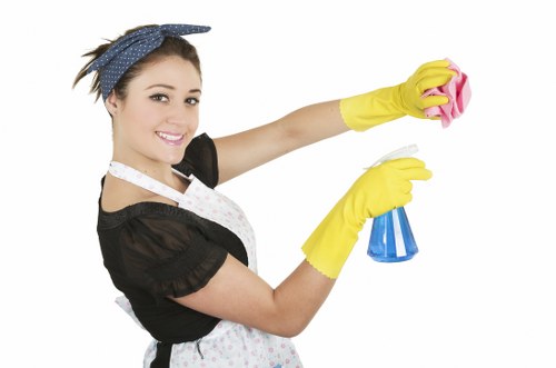 Cleaning oven racks and interior in a local London home