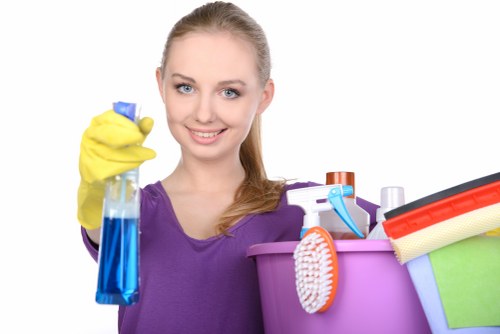 Deep vacuuming and fabric-safe mattress care in Belsize Park