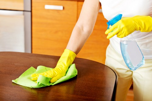 Professional after builders cleaning for homes and businesses in Belsize Park