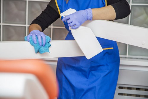 Kitchen cupboard and surface cleaning during a move in clean